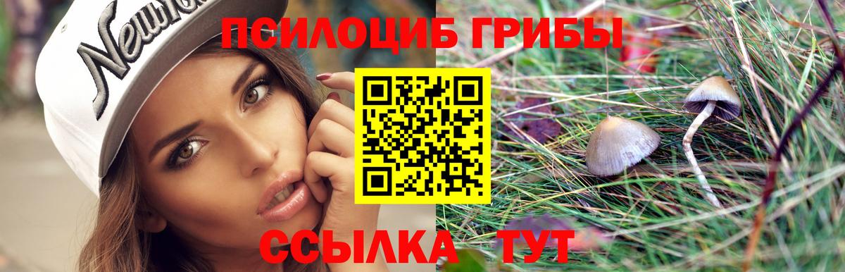 Псилоцибиновые грибы GOLDEN TEACHER  Псилоцибиновые грибы MAGIC MUSHROOMS  Ивантеевка  Вход с VPN 